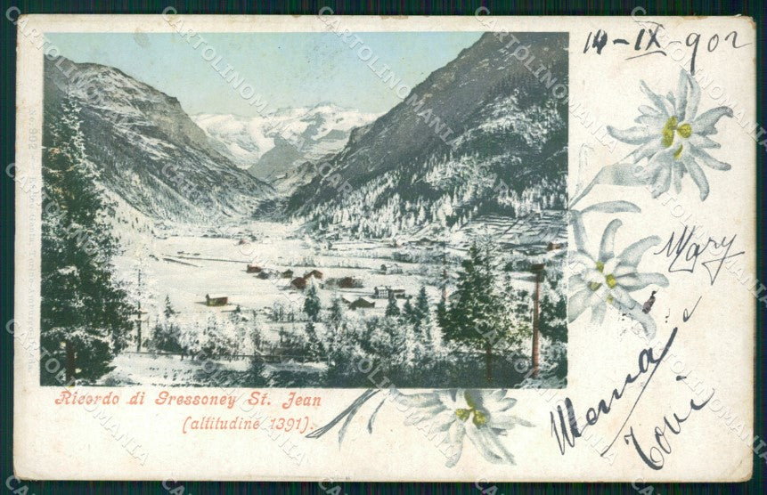 Aosta Gressoney Saint Jean Stelle Alpine Genta cartolina VK0728 – fronte