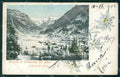 Aosta Gressoney Saint Jean Stelle Alpine Genta cartolina VK0728 – fronte