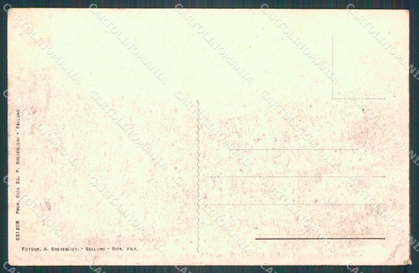 Belluno Alpago Garna di PIEGHINA cartolina VK0741 – retro