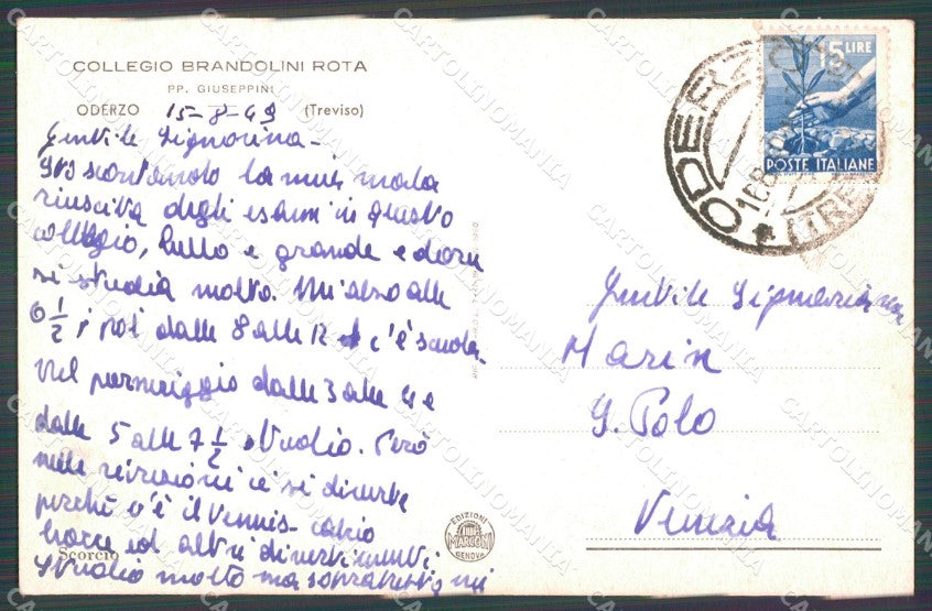 Treviso Oderzo cartolina VK1102 – retro