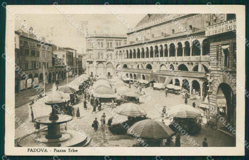 Padova Città Piazza Erbe Mercato PIEGHINA cartolina VK1166 – fronte
