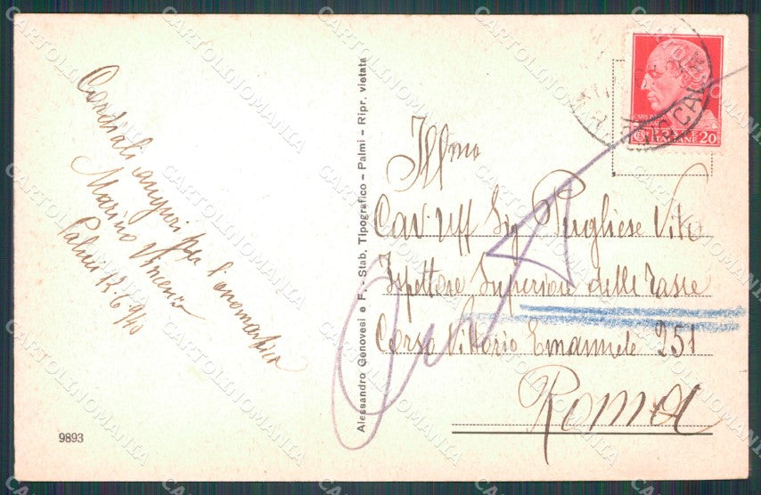 Reggio Calabria Palmi cartolina VK1246 – retro