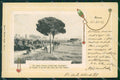 Roma Città Via Appia Nuova cartolina VK1351 – fronte