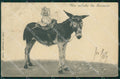 Vicenza Recoaro Terme Asino PIEGA cartolina VK1439 – fronte