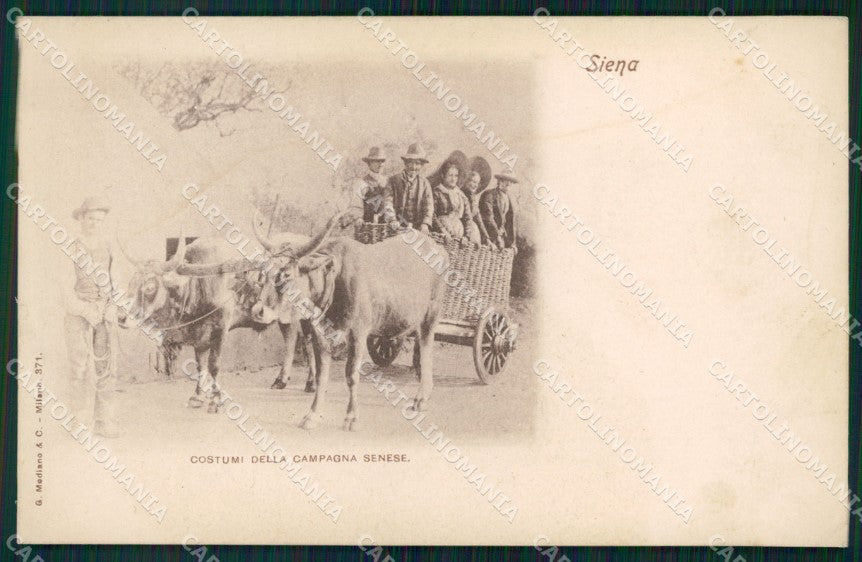Siena Città Costumi Buoi cartolina VK1543 – fronte