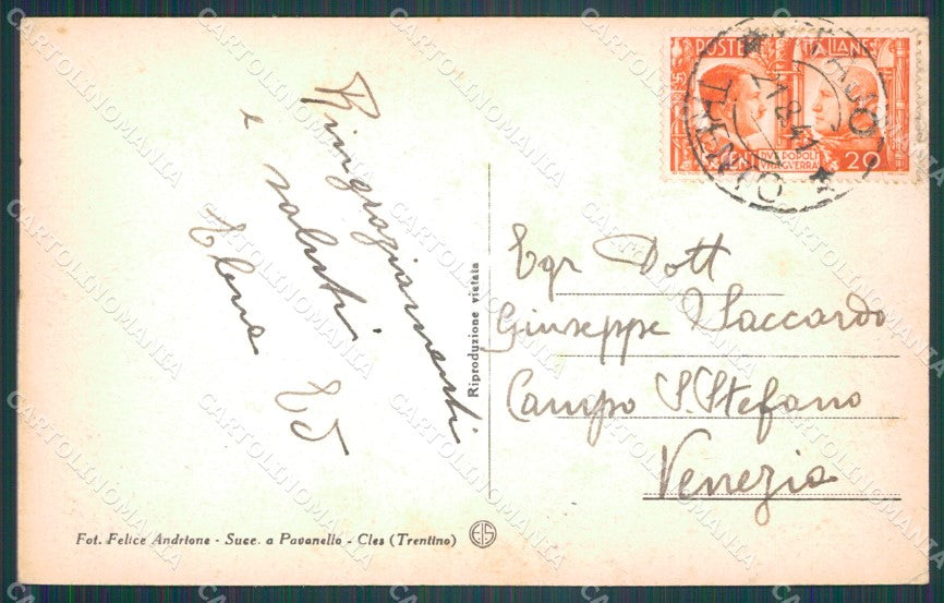 Trento Taio cartolina VK1908 – retro