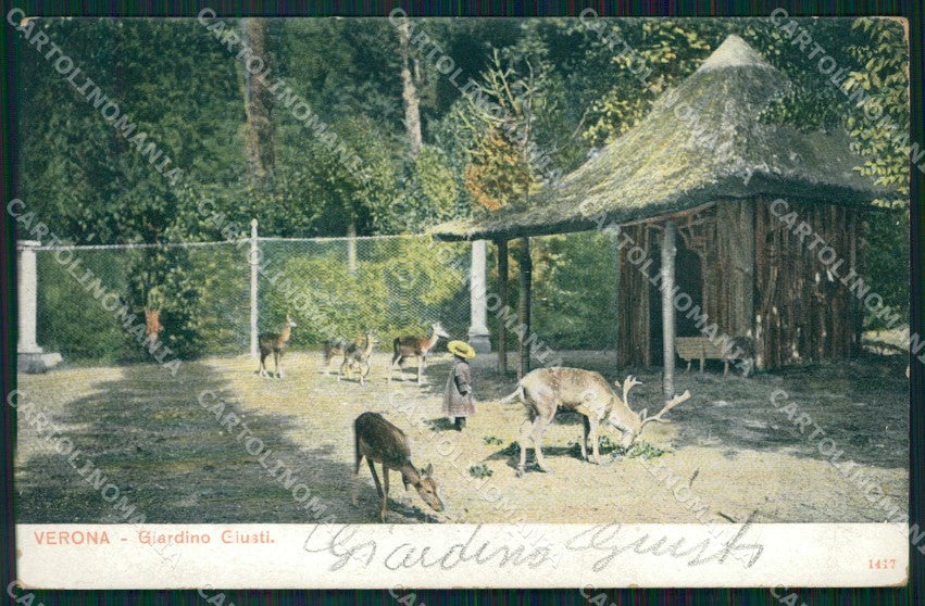 Verona Città Giardino Giusti Cervi cartolina VK1962 – fronte