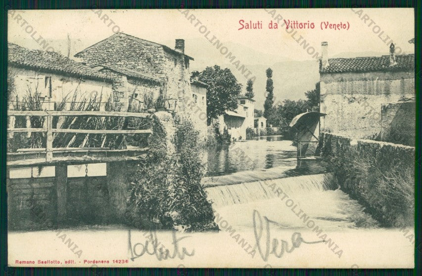 Treviso Vittorio Veneto PIEGA cartolina VK2097 – fronte