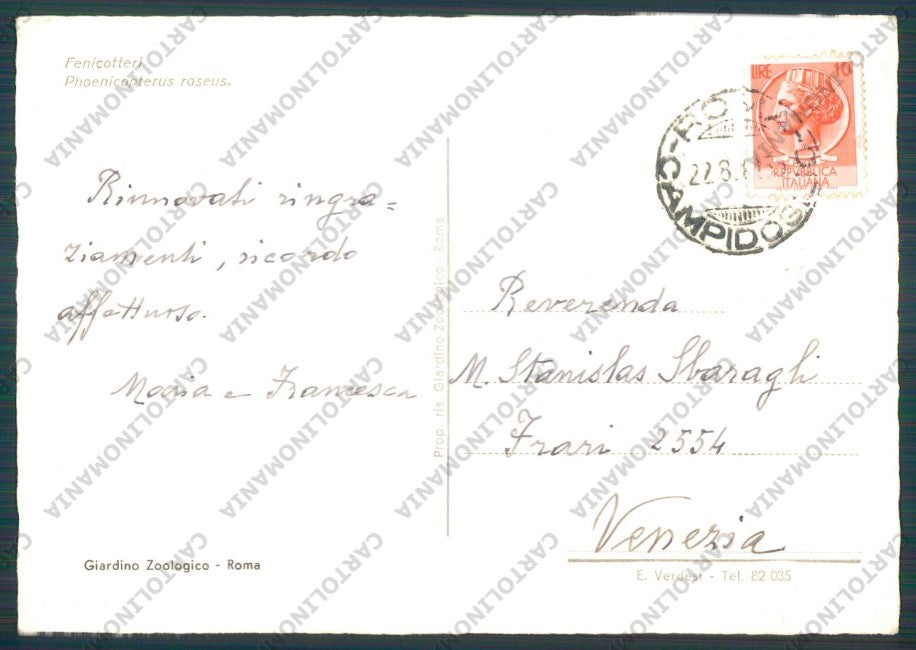 Roma Città Zoo Fenicotteri FG cartolina VK2158 – retro