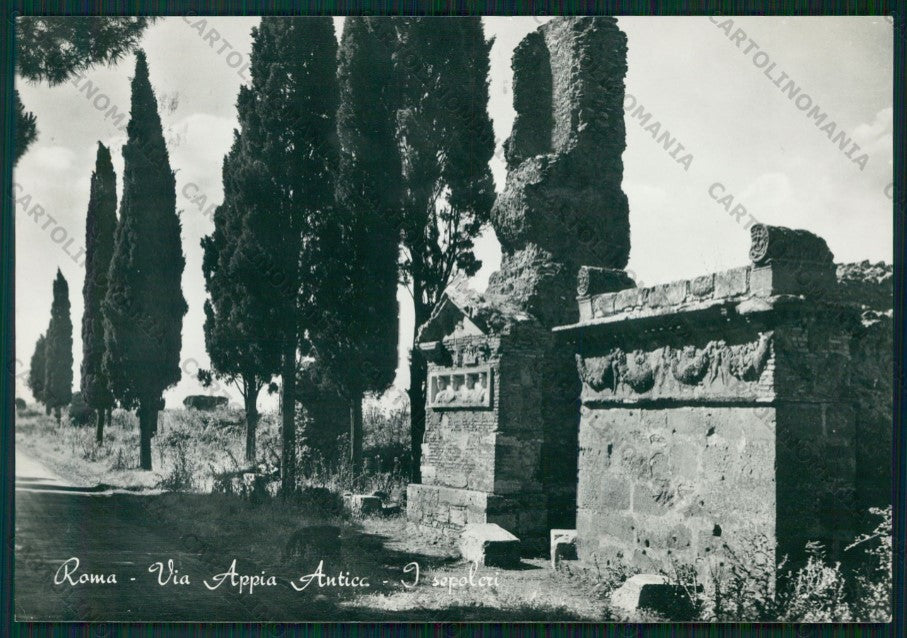 Roma Città Via Appia Antica Sepolcri Foto FG cartolina VK2165 – fronte
