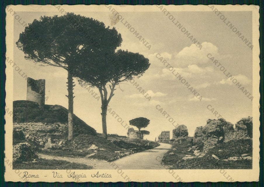 Roma Città Via Appia Antica PIEGHINA FG cartolina VK2245 – fronte