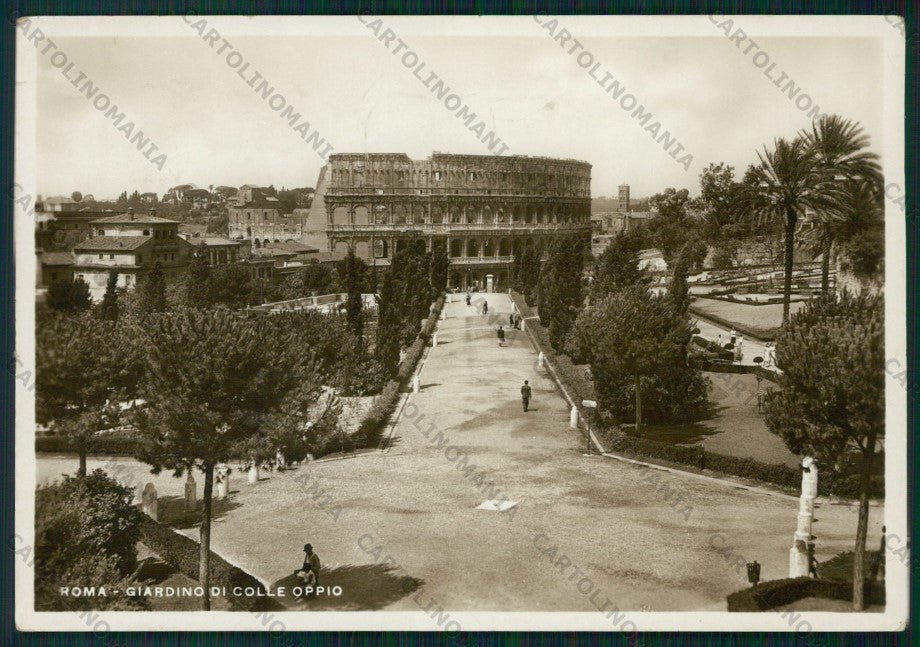 Roma Città Colosseo dal Colle Oppio Foto FG cartolina VK2364 – fronte