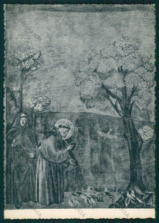 Perugia Assisi Basilica San Francesco Giotto FG cartolina VK2438 – fronte