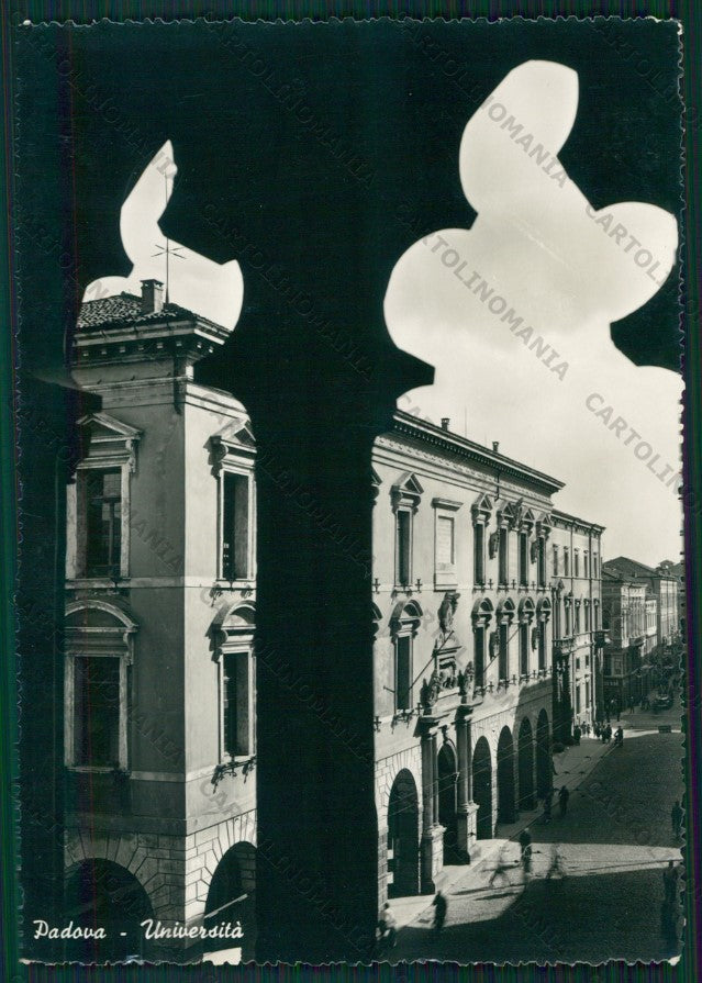 Padova Città Università Foto FG cartolina VK2460 – fronte