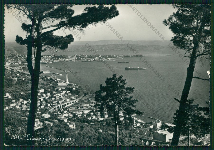 Trieste Città ABRASA Foto FG cartolina VK2608 – fronte