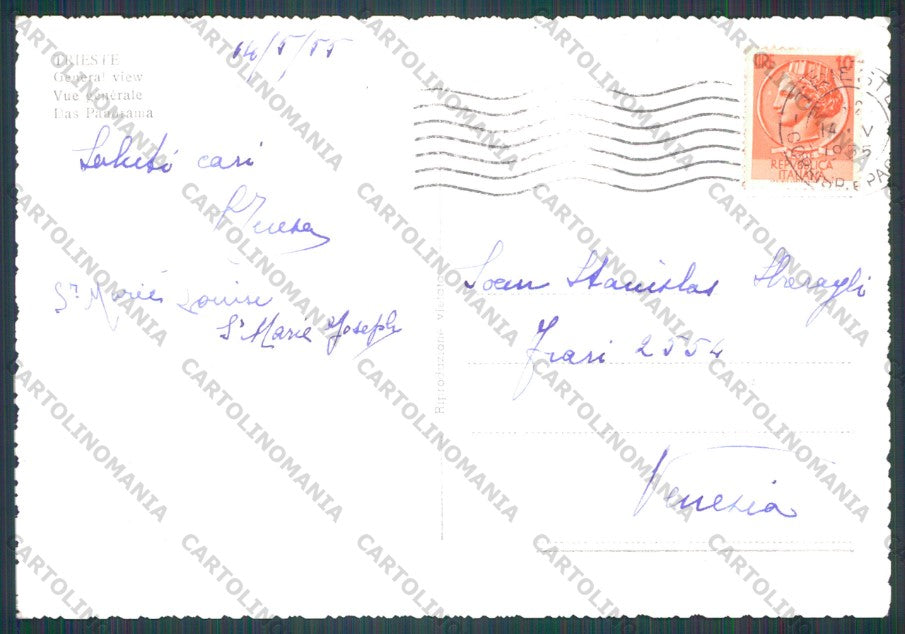 Trieste Città Foto FG cartolina VK2609 – retro