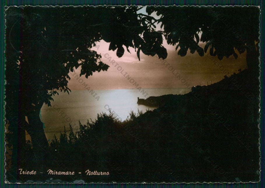 Trieste Città Foto FG cartolina VK2611 – fronte