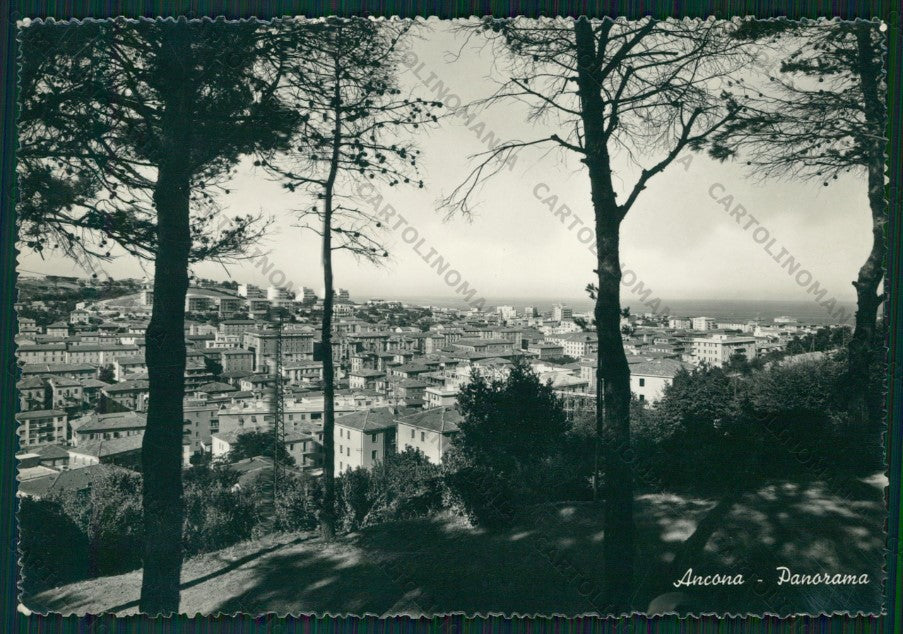 Ancona Città Foto FG cartolina VK2616 – fronte