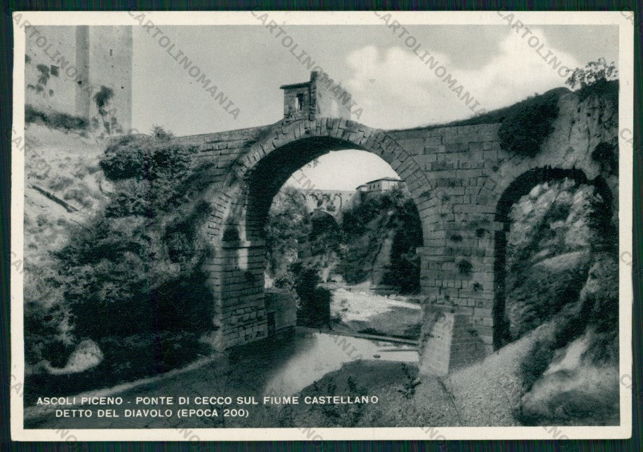 Ascoli Piceno Città Ponte di Cecco Foto FG cartolina VK2636 – fronte