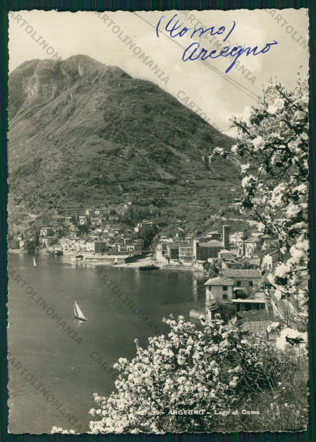 Como Argegno Lago di Como Foto FG cartolina VK2654 – fronte