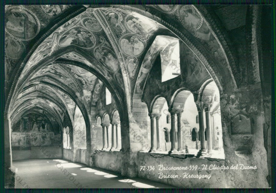 Bolzano Bressanone STRAPPINO Foto FG cartolina VK2686 – fronte