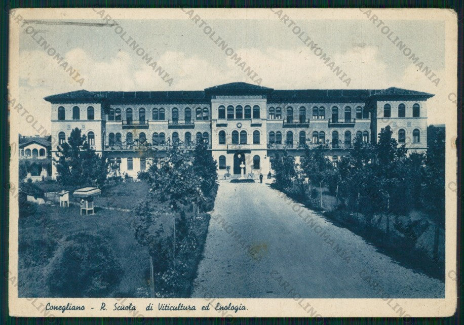 Treviso Conegliano Viticultura Enologia STRAPPINI PIEGHINE FG cartolina VK2710 – fronte