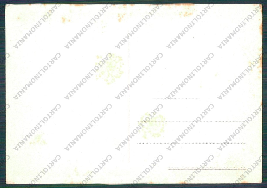 Treviso Castelfranco FG cartolina VK2743 – retro
