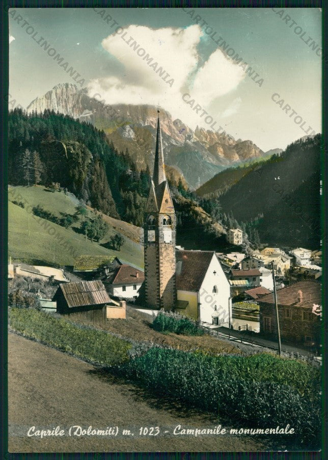 Belluno Caprile Foto FG cartolina VK2754 – fronte