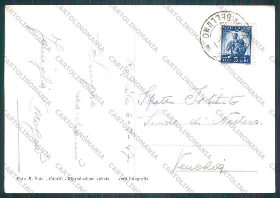 Belluno Caprile Monte Civetta Foto FG cartolina VK2756 – retro