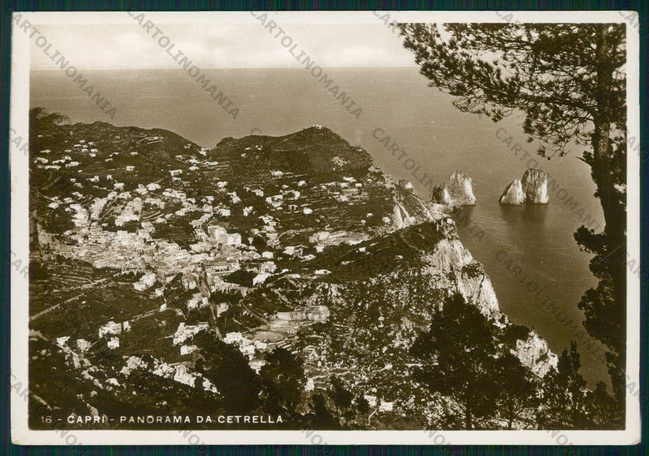 Napoli Capri Cetrella Foto FG cartolina VK2762 – fronte