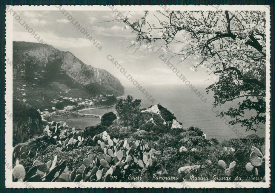 Napoli Capri Marina Grande Foto FG cartolina VK2763 – fronte