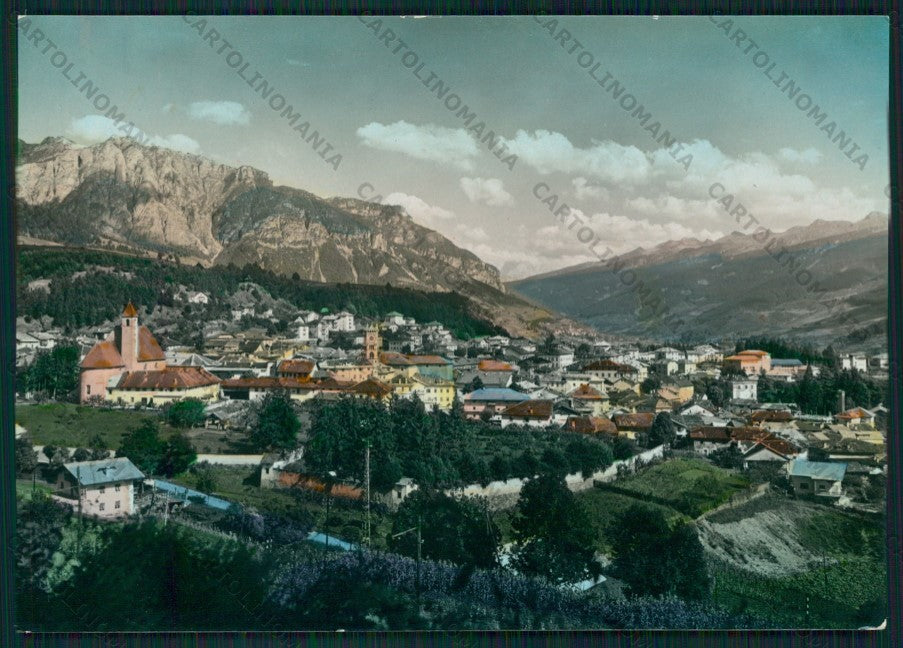 Trento Cavalese Foto FG cartolina VK2785 – fronte