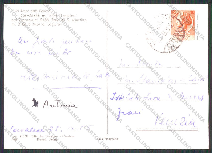 Trento Cavalese Foto FG cartolina VK2785 – retro