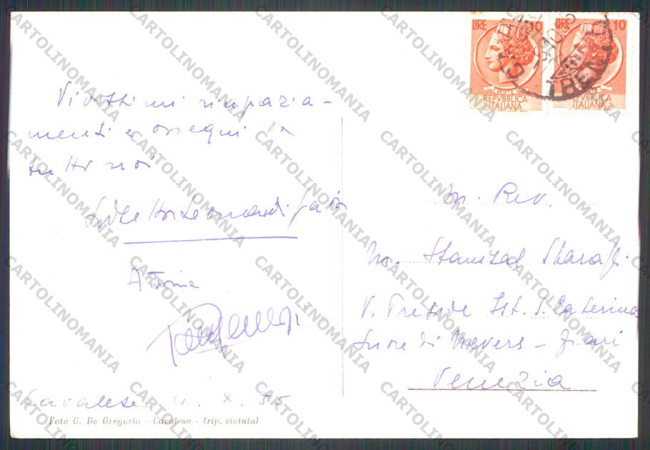 Trento Cavalese Palazzo Magnifica Comunità Foto FG cartolina VK2786 – retro