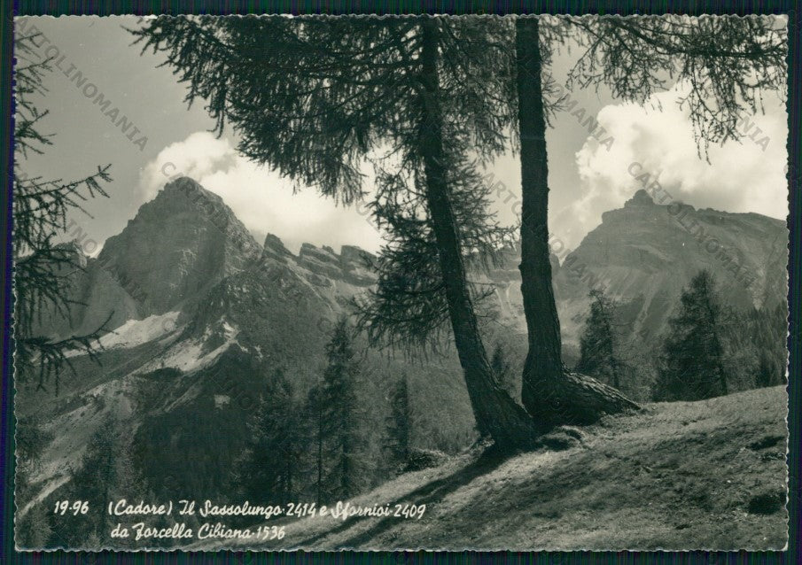 Belluno Sassolungo Sfornioi Foto FG cartolina VK2804 – fronte