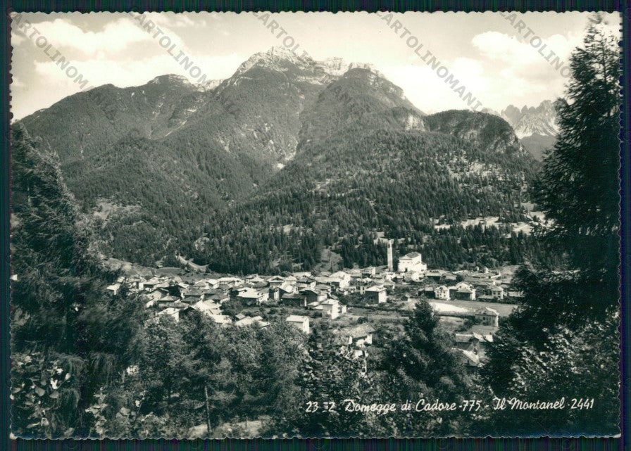 Belluno Domegge di Cadore Montanel Foto FG cartolina VK2836 – fronte