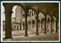 Ferrara Città Museo Archeologico Foto FG cartolina VK2846 – fronte