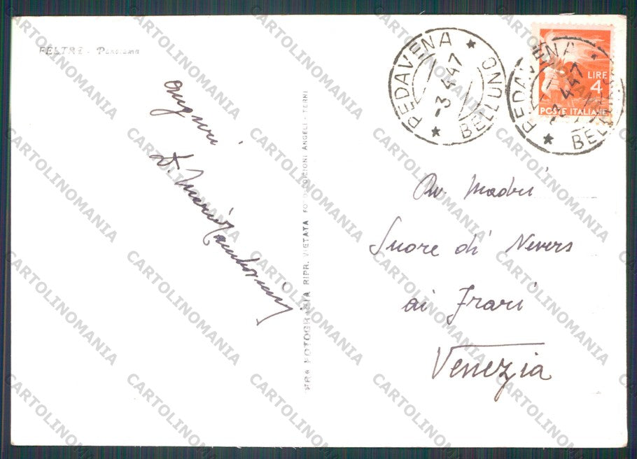 Belluno Feltre Foto FG cartolina VK2866 – retro