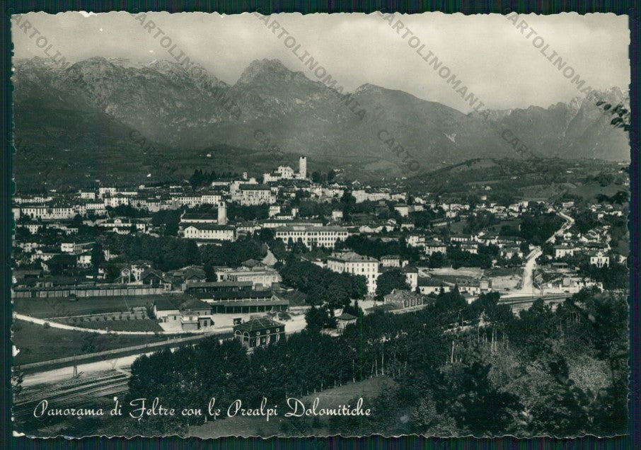 Belluno Feltre Foto FG cartolina VK2870 – fronte