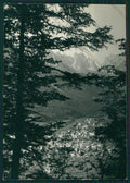 Udine Forni di Sopra Foto FG cartolina VK2876 – fronte