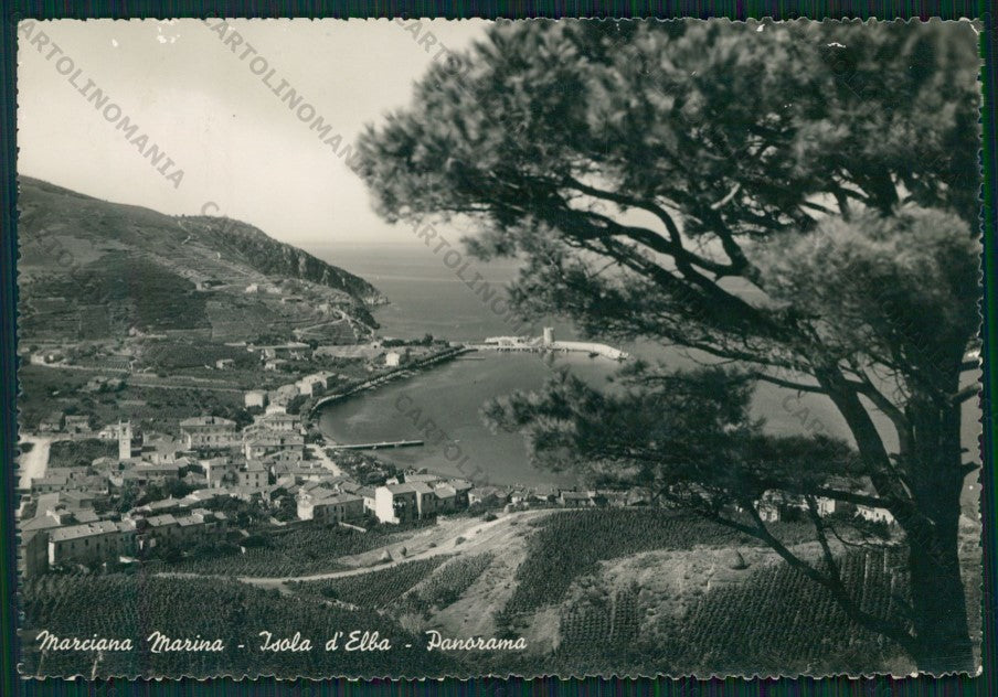 Livorno Marciana Marina Isola d'Elba ABRASA Foto FG cartolina VK2942 – fronte