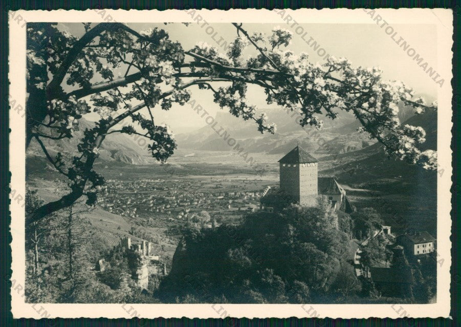 Bolzano Merano PIEGHINA Foto FG cartolina VK2956 – fronte