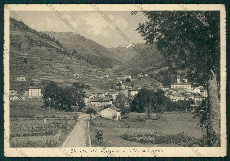 Brescia Ponte di Legno FG cartolina VK2974 – fronte