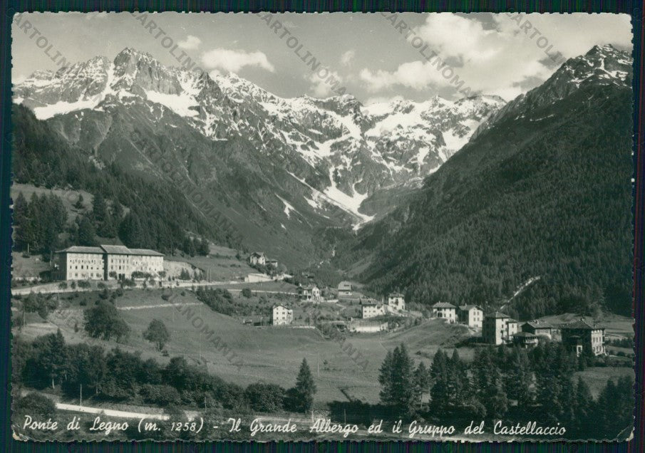 Brescia Ponte di Legno Gruppo Castellacio Foto FG cartolina VK2975 – fronte