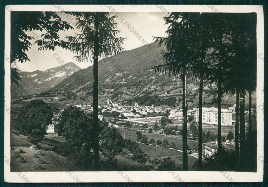 Trento Primiero Fiera di Foto FG cartolina VK2988 – fronte