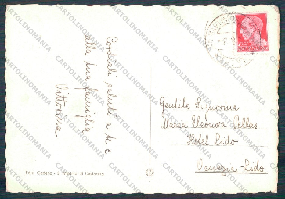 Trento Primiero Passo Rolle Cimon Pala PIEGHINA STRAPPINO FG cartolina VK3004 – retro