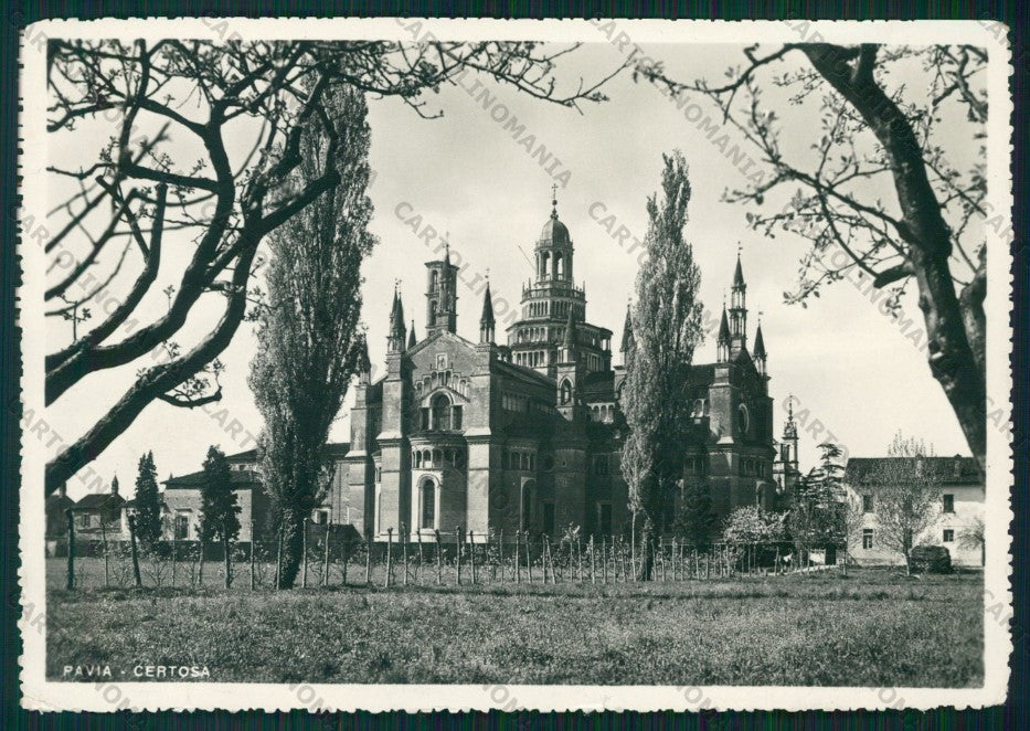 Pavia Certosa di PIEGHINA Foto FG cartolina VK3023 – fronte