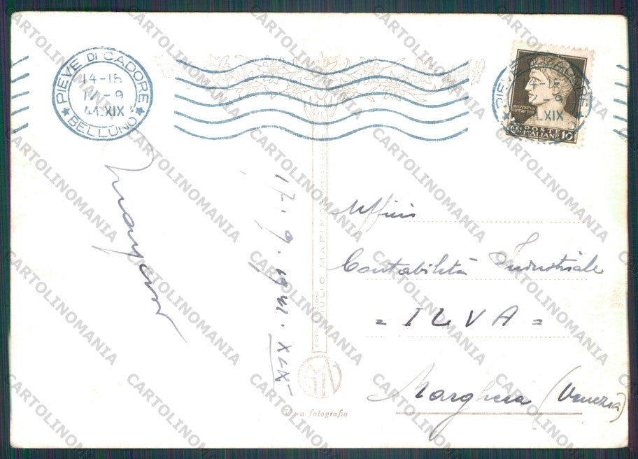 Belluno Piove di Sacco Le Marmarole Stelle Alpine Foto FG cartolina VK3053 – retro