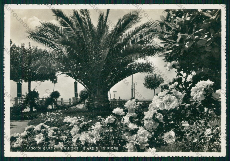 Brescia Sirmione Lago di Garda Foto FG cartolina VK3104 – fronte