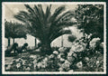 Brescia Sirmione Lago di Garda Foto FG cartolina VK3104 – fronte